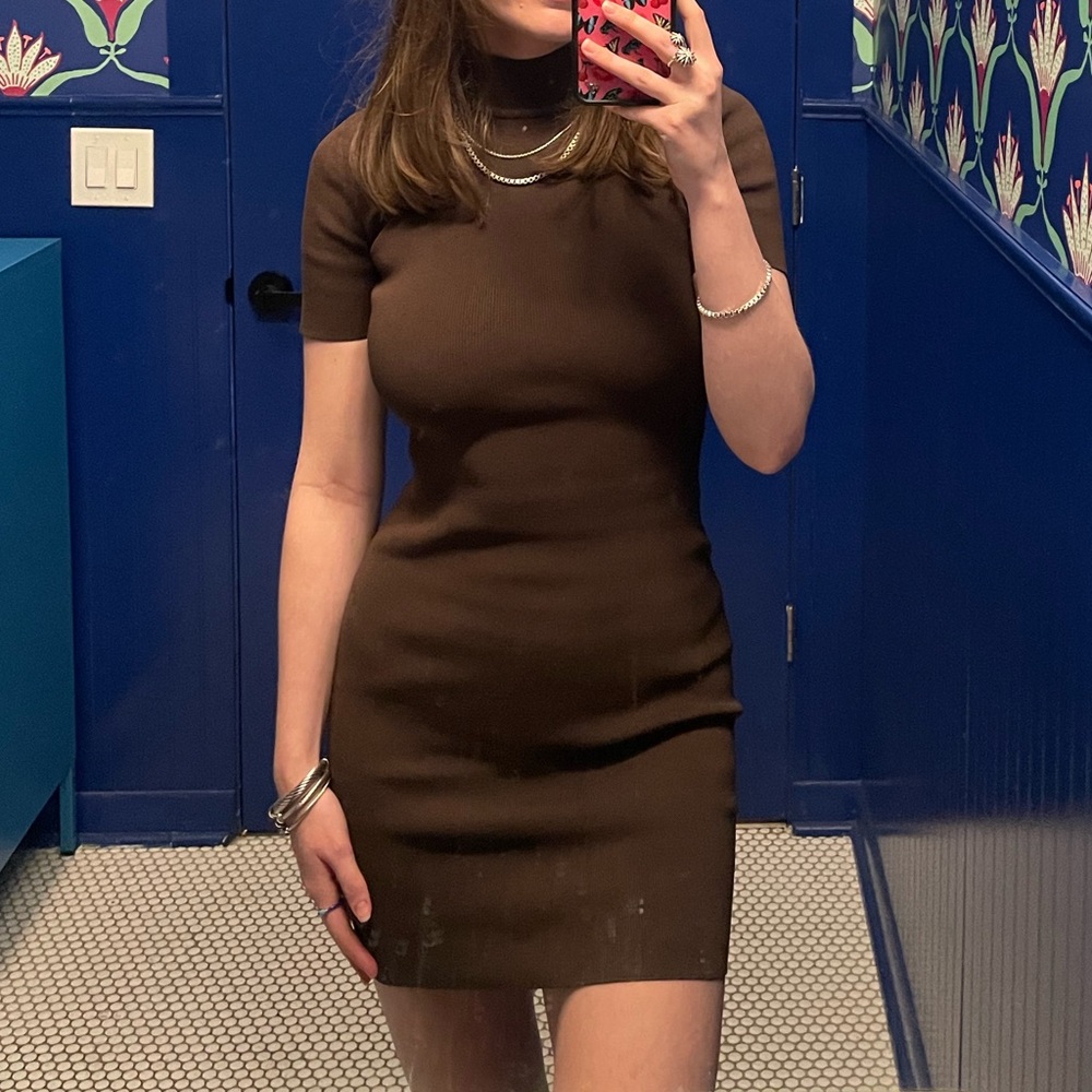 Aritzia brown bodycon dress